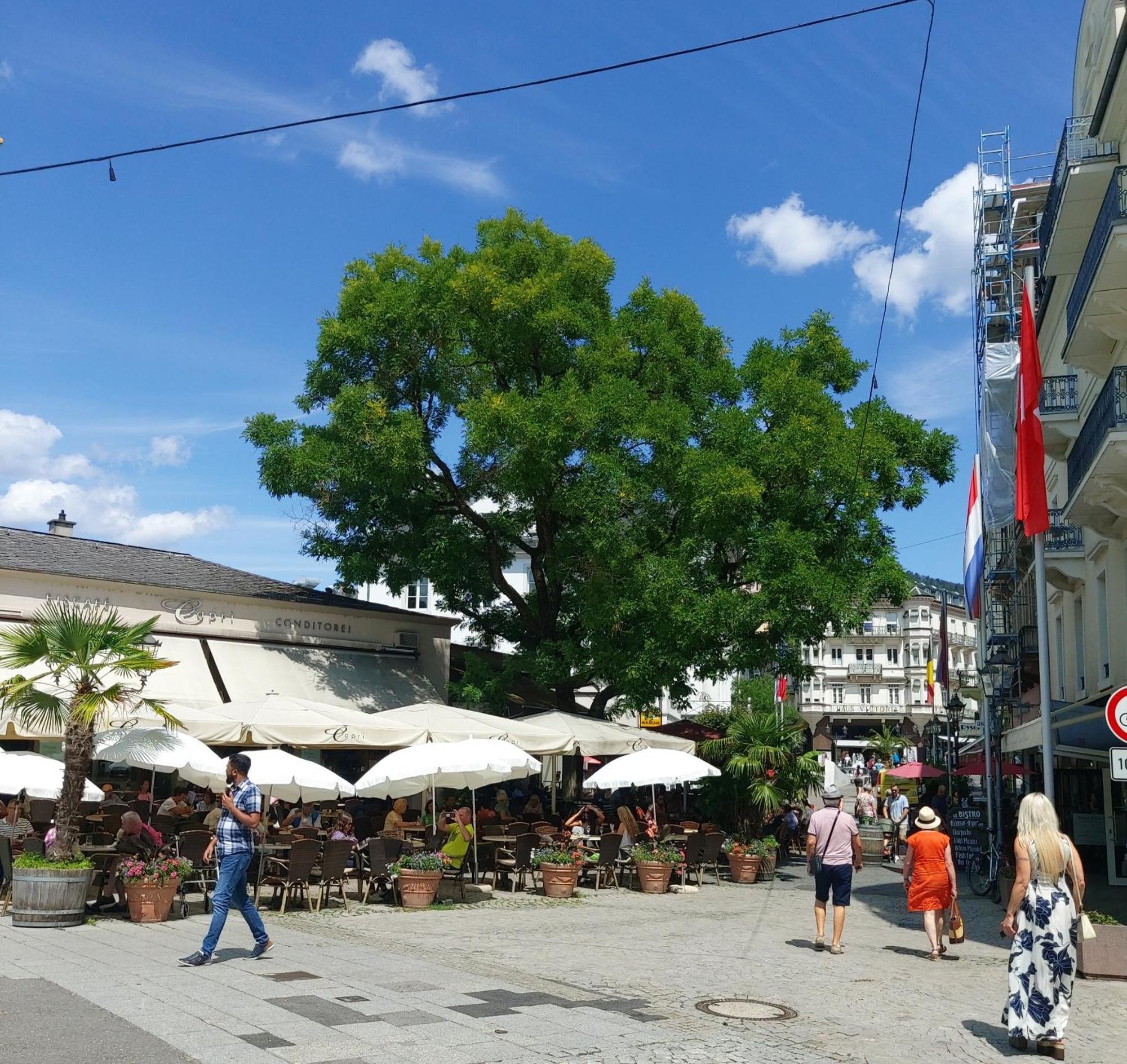 Gemuetliches J&L Apartment Nahe Des Hauptbahnhofes Baden-Baden Ngoại thất bức ảnh